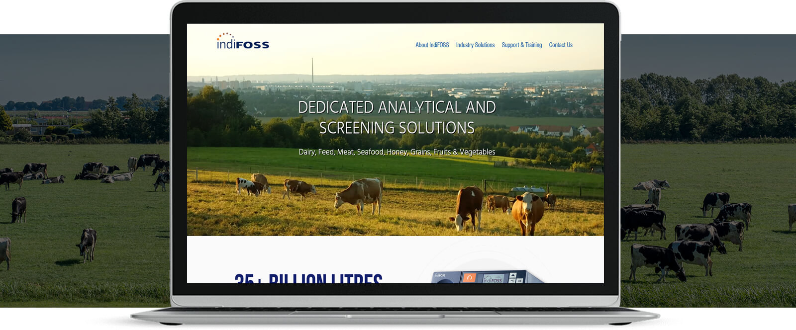 Website Design For Dairy Industry
